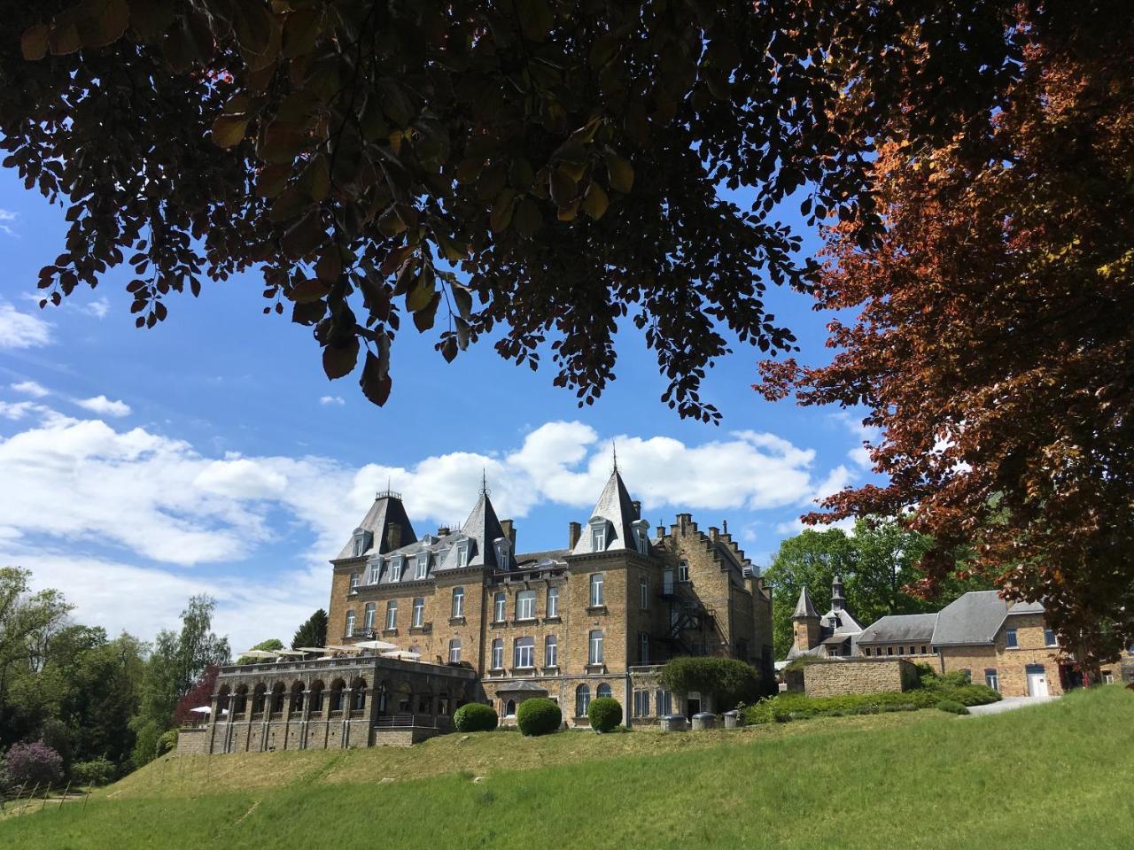 Domaine De Ronchinne - Insolites Maillen Экстерьер фото