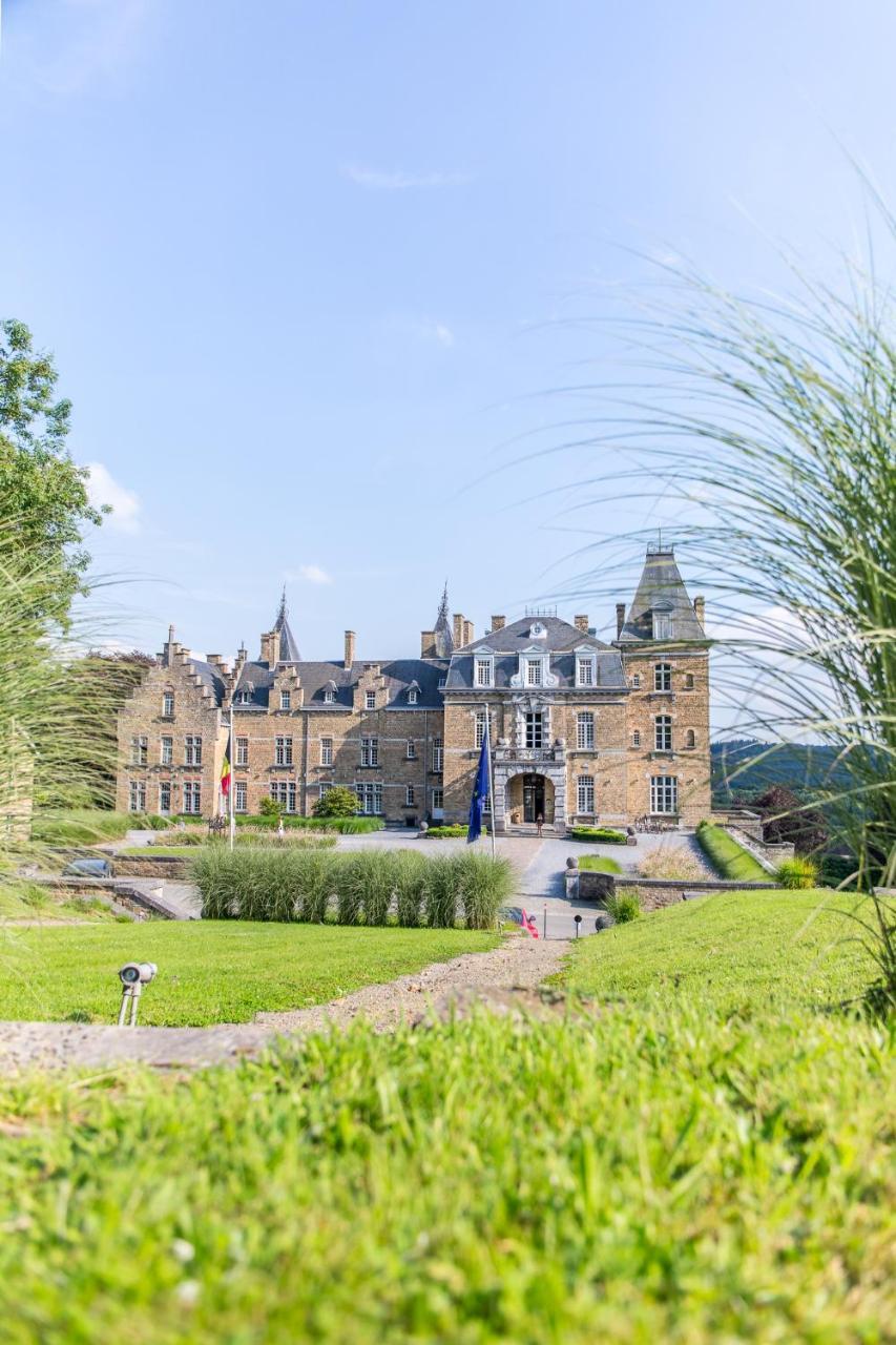 Domaine De Ronchinne - Insolites Maillen Экстерьер фото