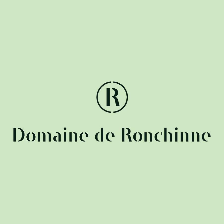 Domaine De Ronchinne - Insolites Maillen Экстерьер фото